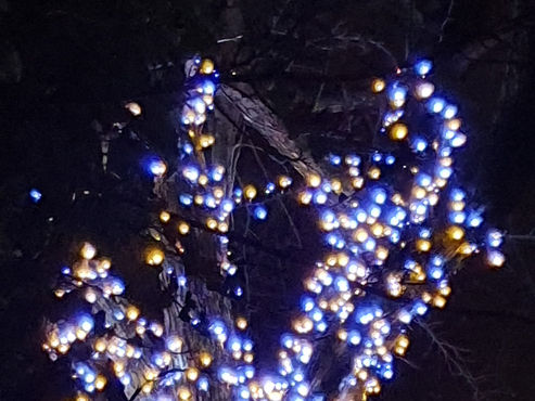 po cieszenie pocieszenie 22.12.2022r.