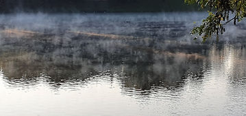 20200928_071110.jpg