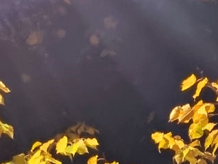 na własnej wysokości 17.10.2022r.