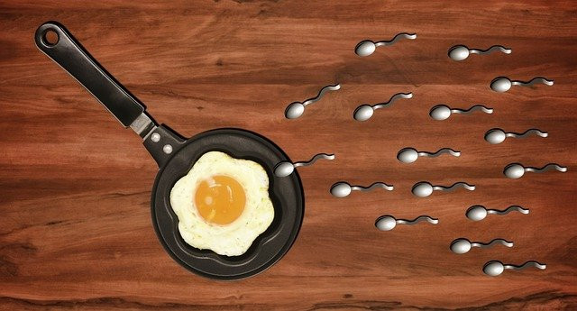 fertility dietician dublin