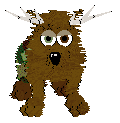 Brown husky-like dog with antlers and camo trousers on. He has one green and one brown eye.
