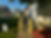 IMG_3548.jpeg