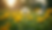 -post-ai-image-4225.png