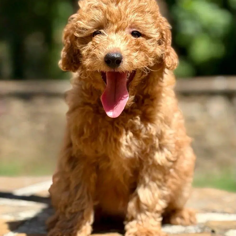 Ellie sitting
