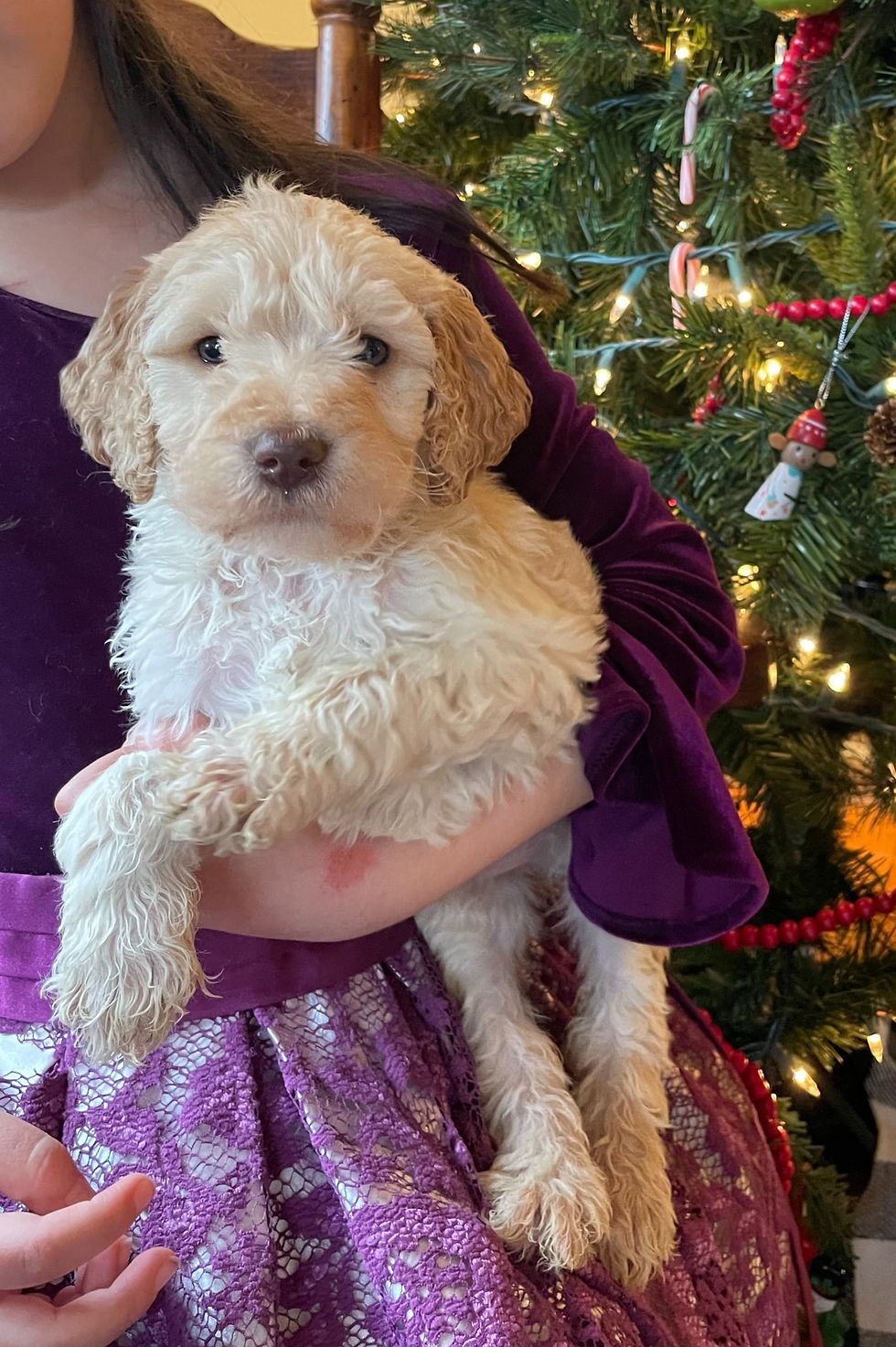 Hope 1 - 6 weeks