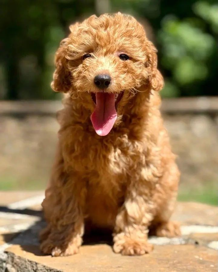 Ellie