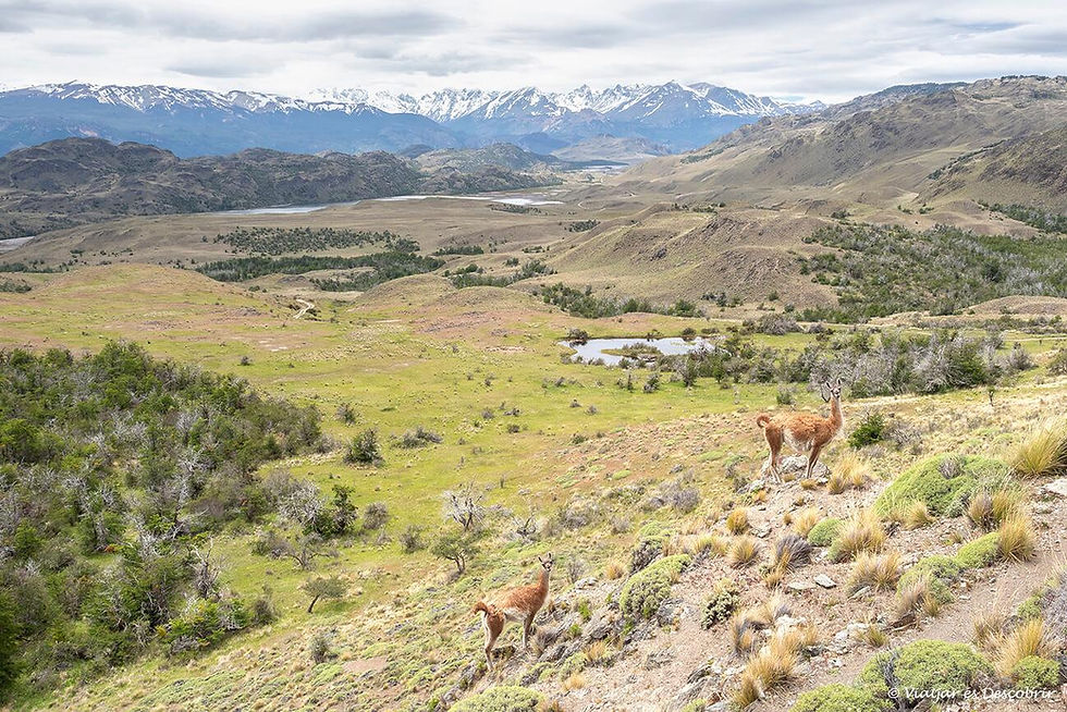 Parque Nacional Patagonia.