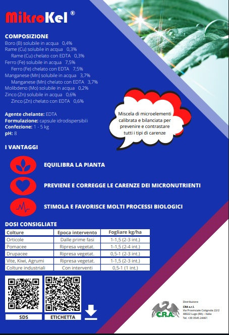 Miniatura: MIKRO KEL