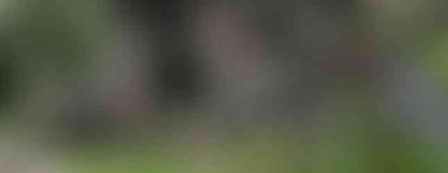 Untermyer Park and Gardens in Yonkers, New York