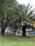 Parque 93 in Bogotá, Colombia