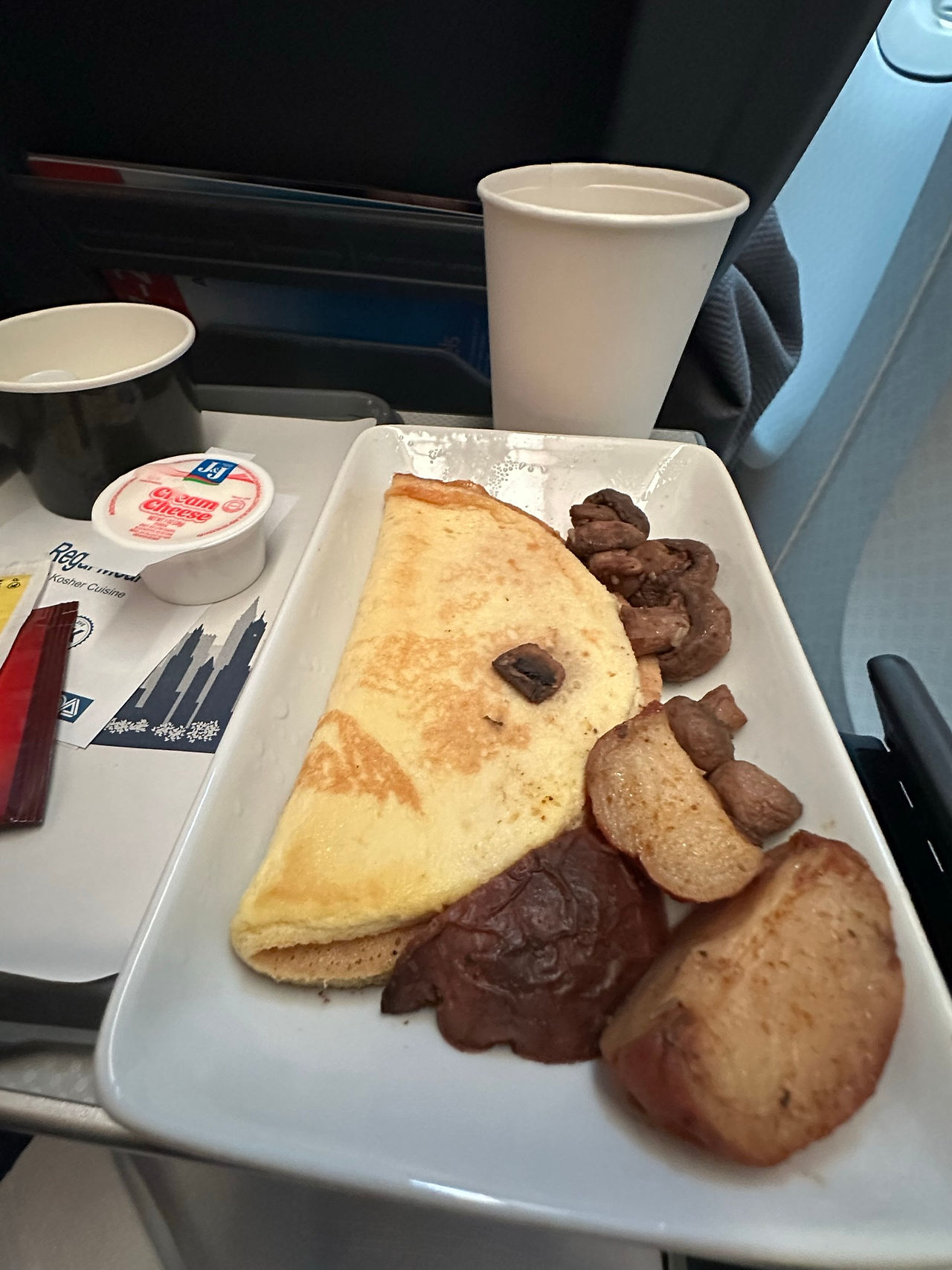 American Airlines' Premium Economy Seats