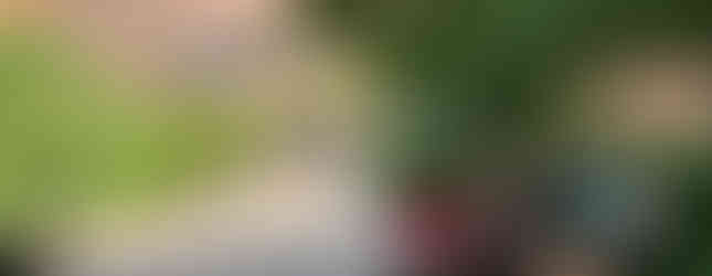 The High Line in New York City