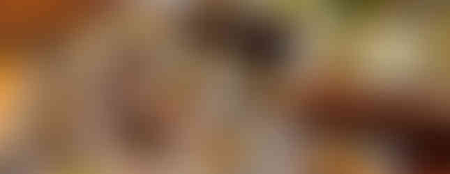 Isrotel Nevo Dead Sea Hotel in Israel