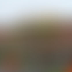 Evergreen Monsey, New York: Inside Rockland County’s Largest Kosher Supermarket