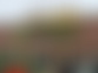 Evergreen Monsey, New York: Inside Rockland County’s Largest Kosher Supermarket