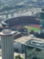 Busch Stadium View from The Gateway Arch in St. Louis, Missouri