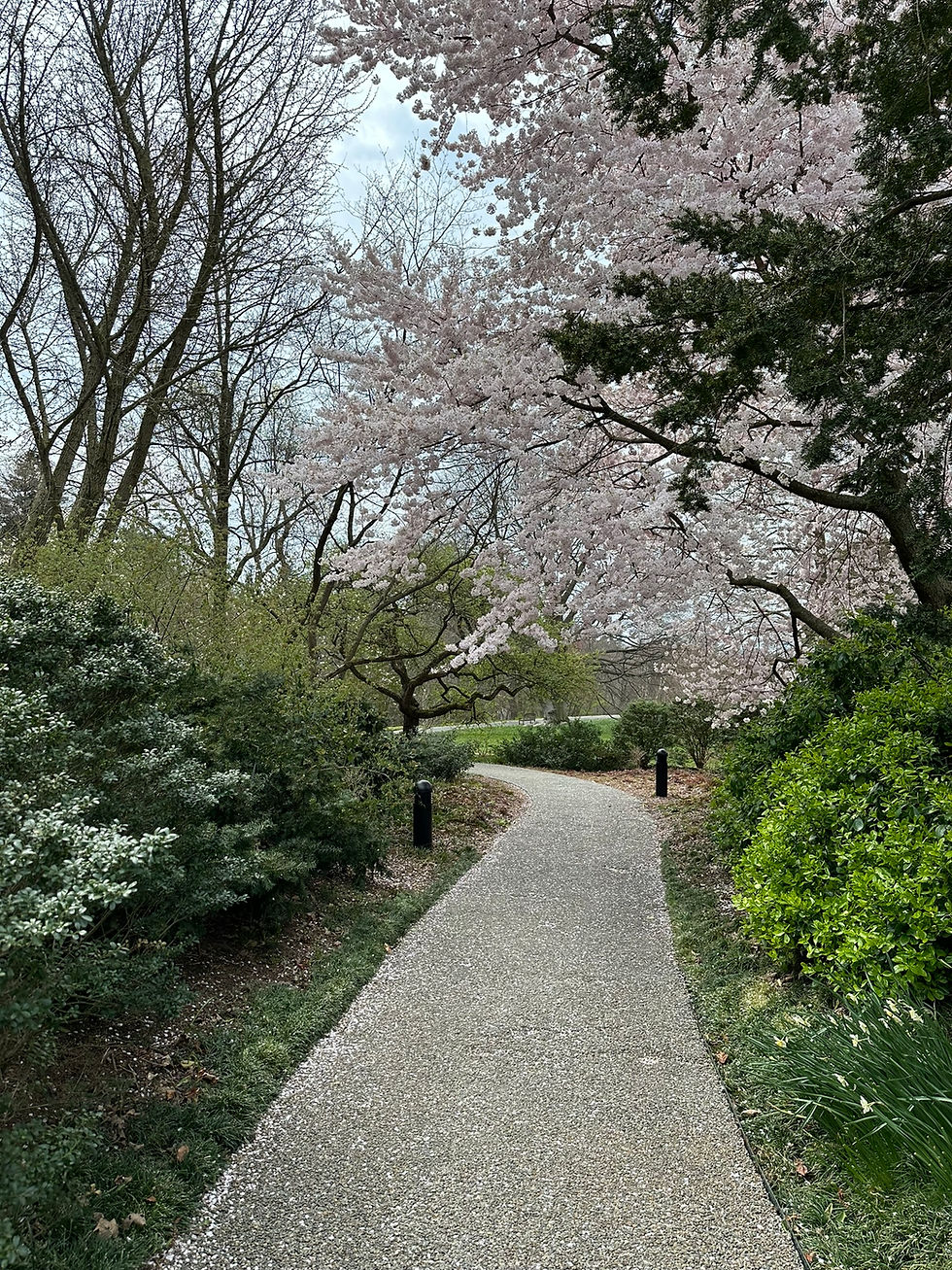 New York City's Wave Hill in the Riverdale section of the Bronx