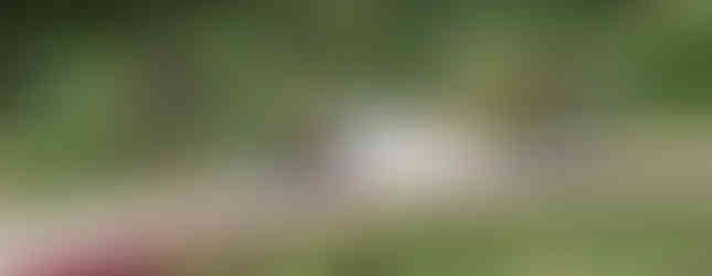 Central Park's Conservatory Garden in New York City