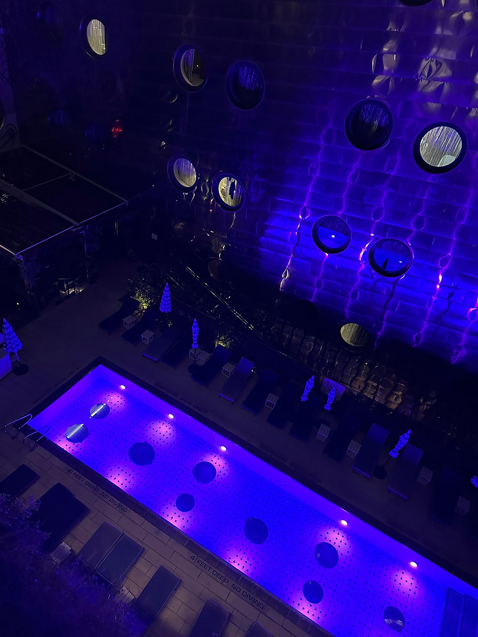 Dream Downtown, by Hyatt in New York City