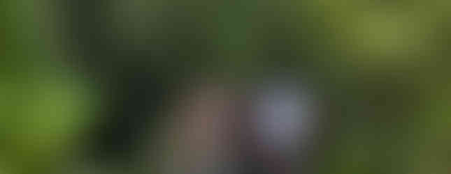 The High Line in New York City