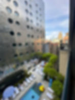 Dream Downtown, by Hyatt in New York City