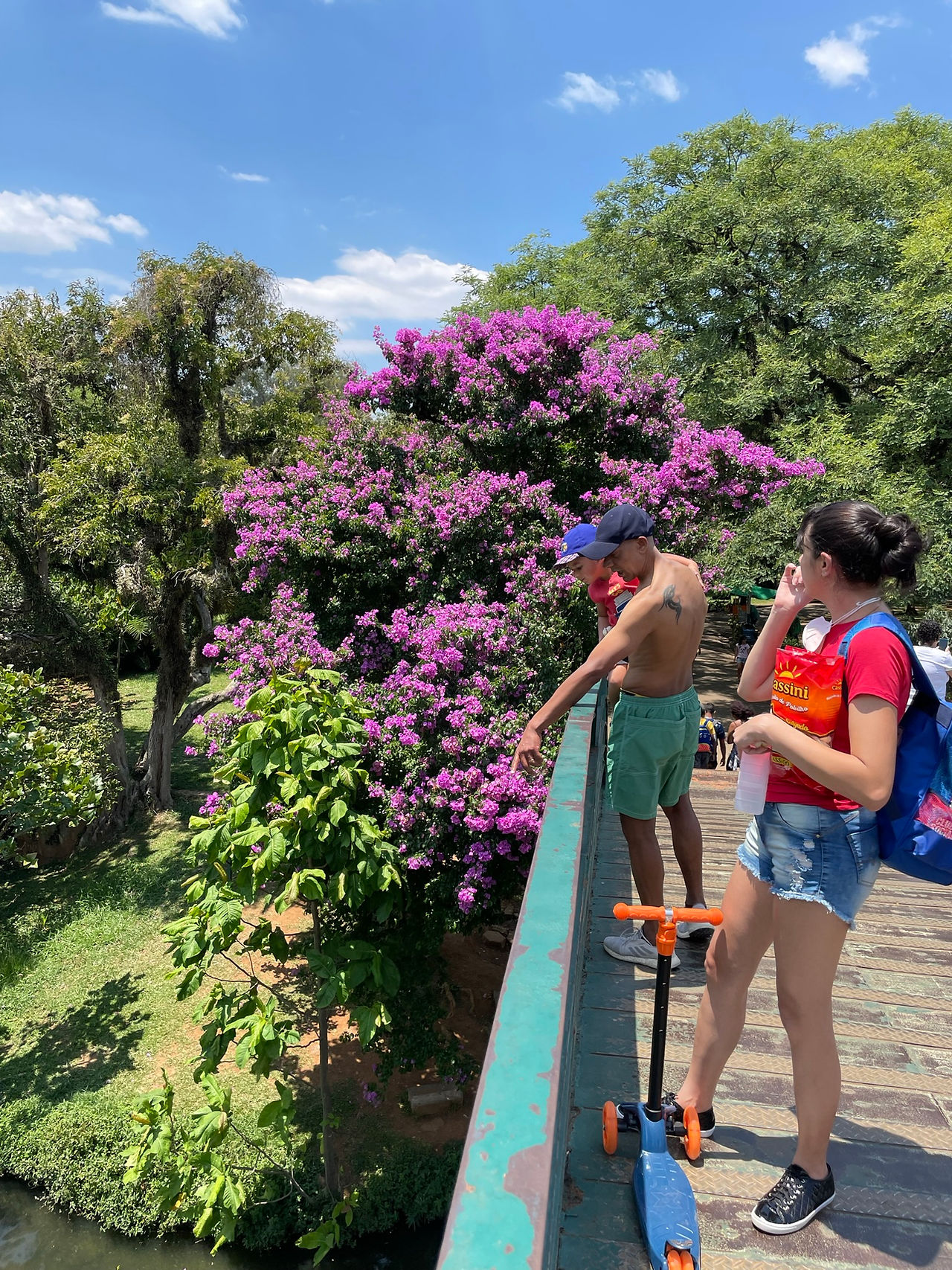 Ibirapuera Park in São Paulo, Brazil