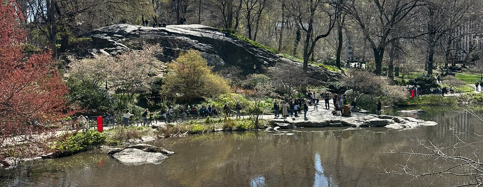 Central Park During the Spring Season