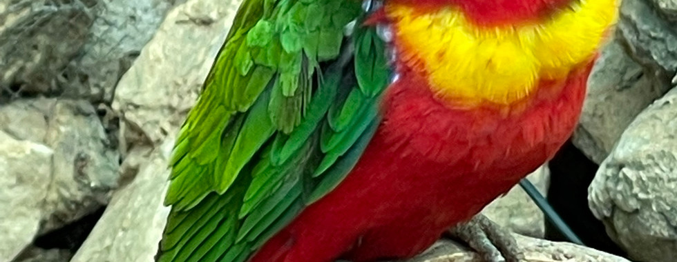 The Jerusalem Biblical Zoo in Israel