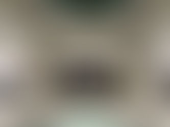 Grand Central Madison: Exploring New York City's Newest Transit Hub