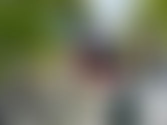 Little Havana: Cigars, Culture, and Calle Ocho in Miami’s Cuban Neighborhood