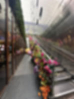 Dream Downtown, by Hyatt in New York City