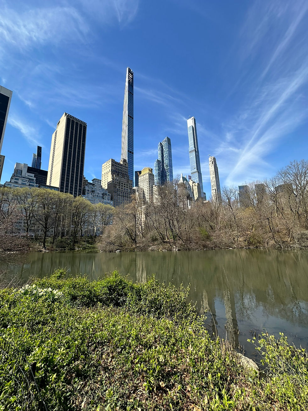 Central Park in Spring A Guide to New York City’s Iconic Sanctuary