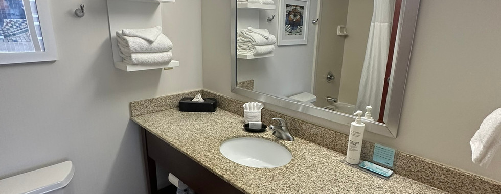 The Hampton Inn St. Louis-Downtown