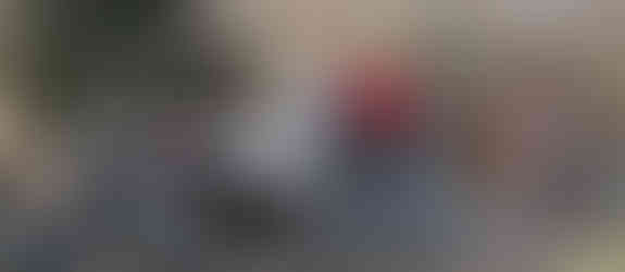 Central Park During the Winter Season