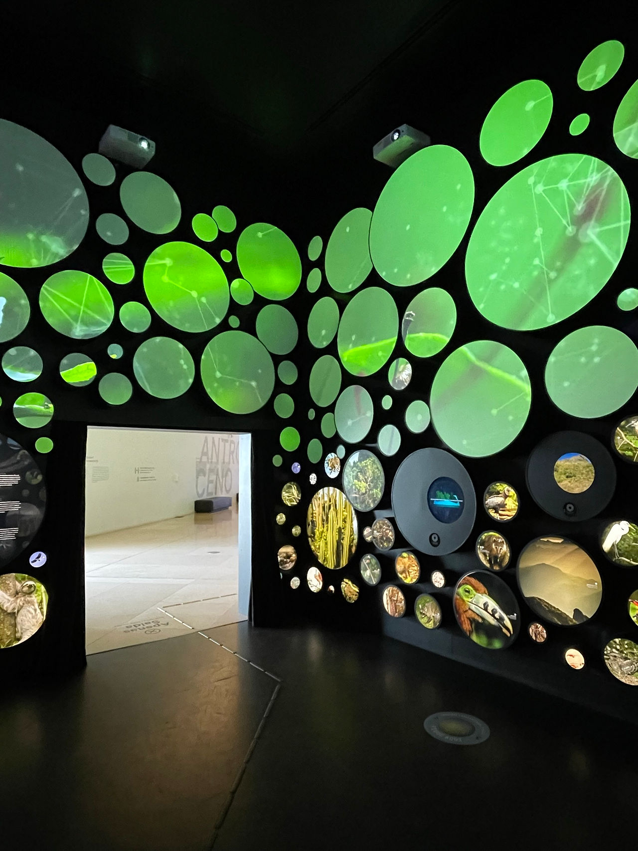 Museu do Amanhã in Rio de Janeiro, Brazil