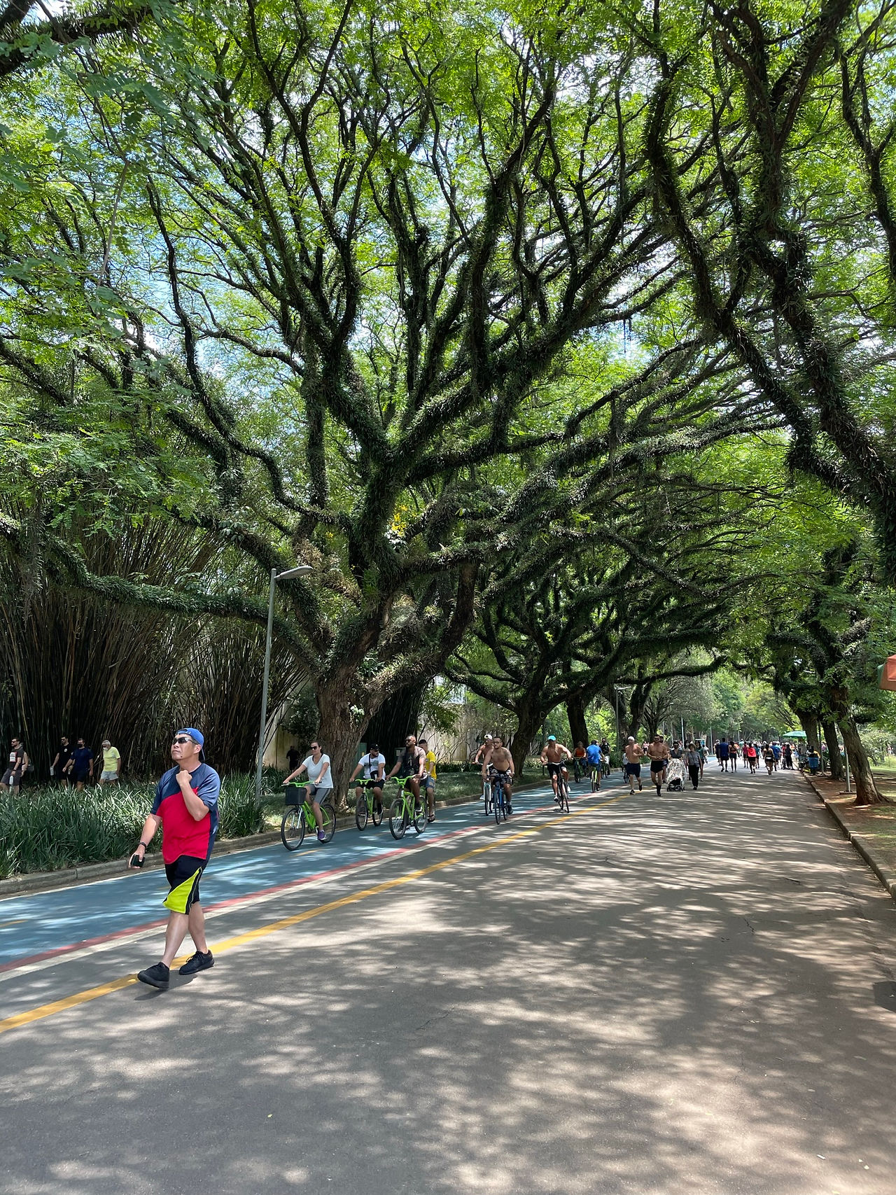 Ibirapuera Park in São Paulo, Brazil