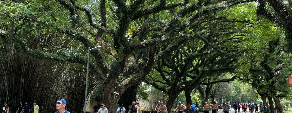 Ibirapuera Park in São Paulo, Brazil