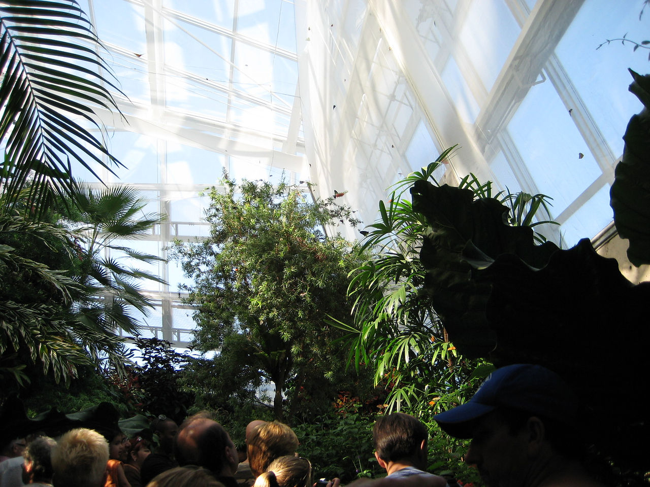 The Butterfly Conservatory at Niagara Falls, Canada