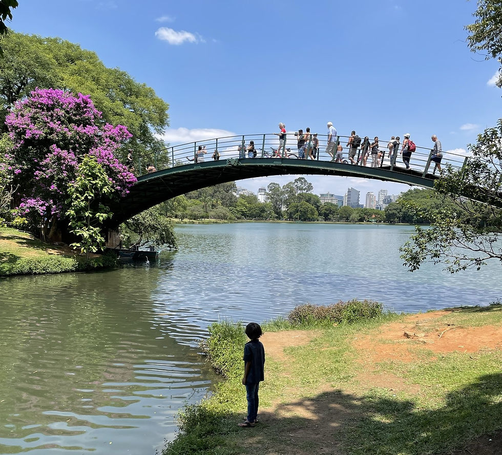 Ibirapuera Park in São Paulo, Brazil