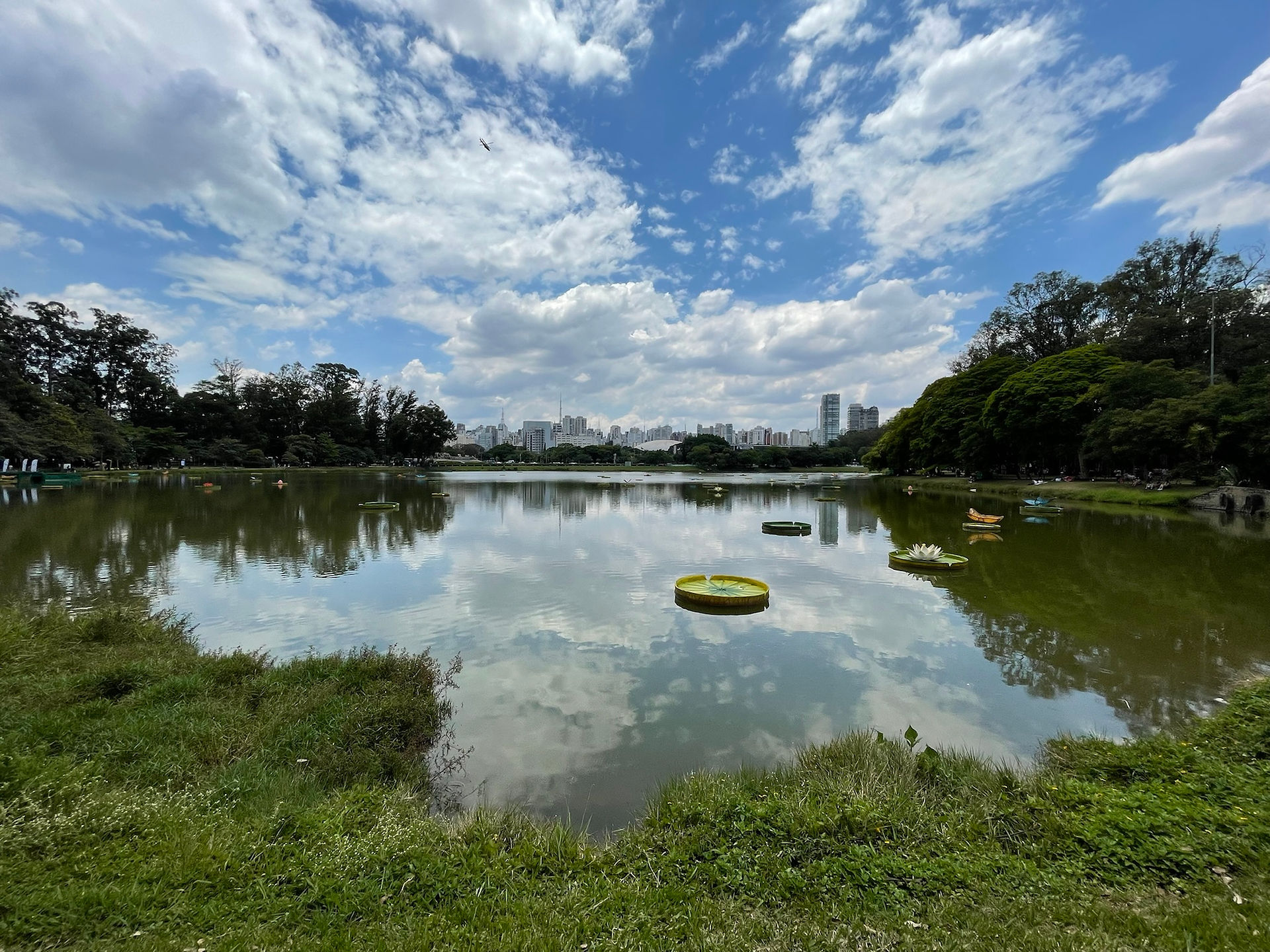 Ibirapuera Park in São Paulo, Brazil