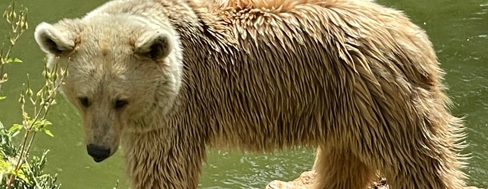 The Jerusalem Biblical Zoo in Israel