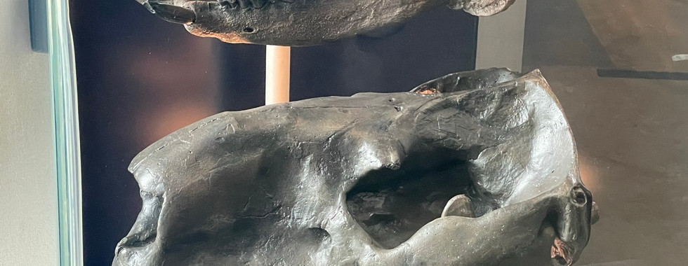 The Biomuseo in Panama City, Panama