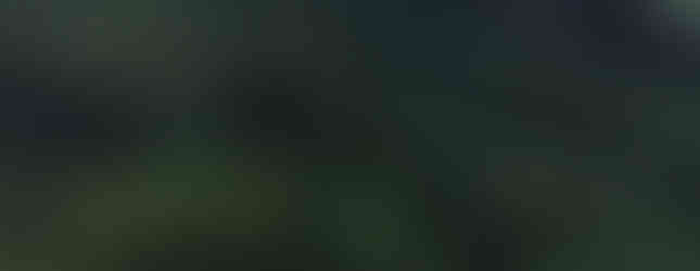 View from Yokahú Tower in El Yunque National Forest in Puerto Rico