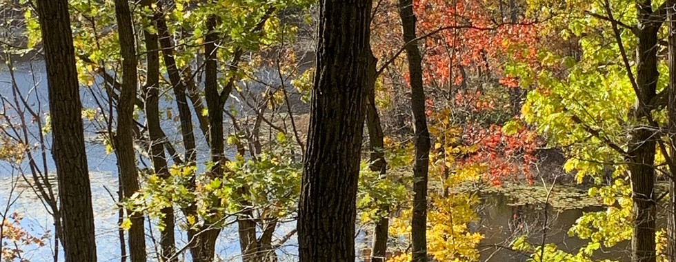 Greenbrook Sanctuary in Tenafly, New Jersey