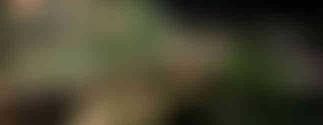 Isrotel Nevo Dead Sea Hotel in Israel