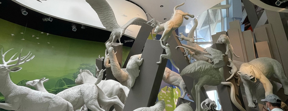 The Biomuseo in Panama City, Panama