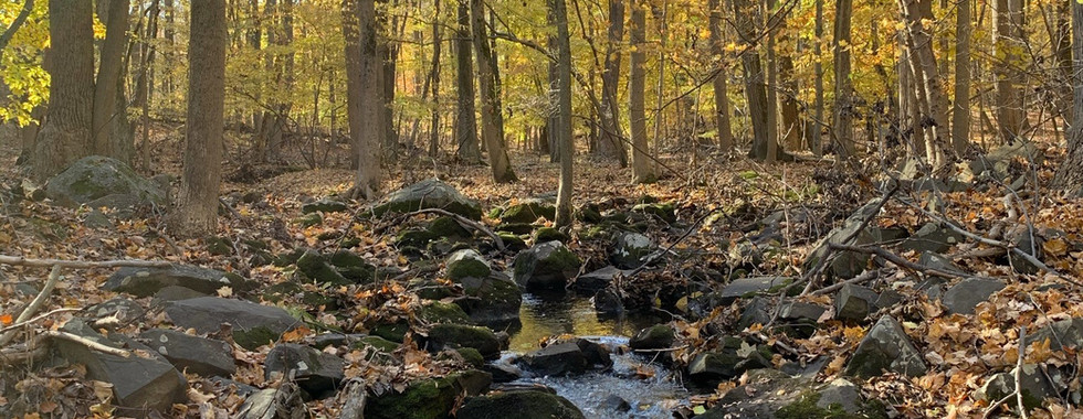 Greenbrook Sanctuary in Tenafly, New Jersey
