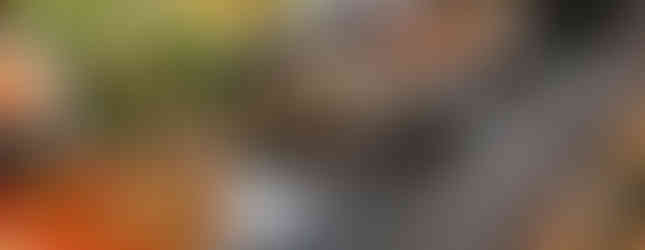 Isrotel Nevo Dead Sea Hotel in Israel