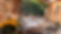 IMG_2890.jpeg