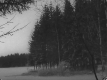 Screen Shot 2022-08-09 at 1.27.28 PM.png